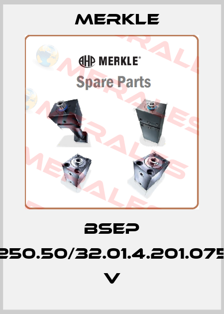 BSEP 250.50/32.01.4.201.075 V Merkle