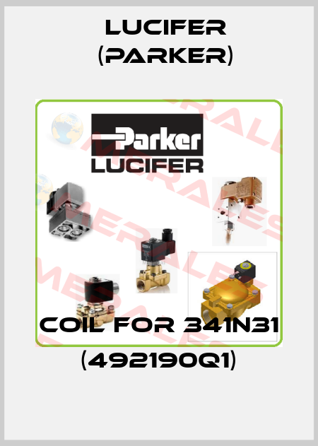 coil for 341N31 (492190Q1) Lucifer (Parker)