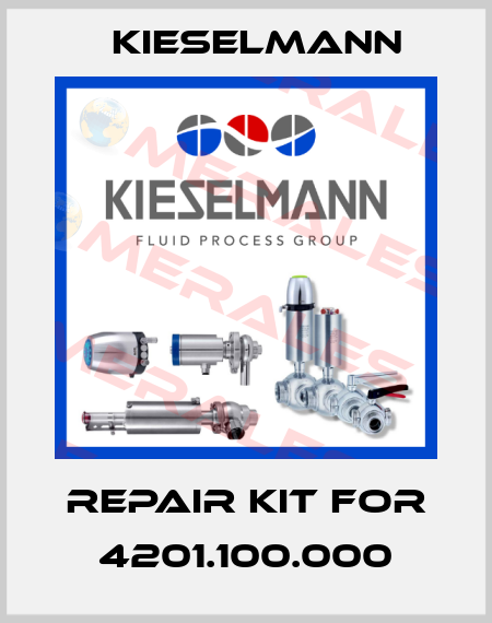 repair kit for 4201.100.000 Kieselmann