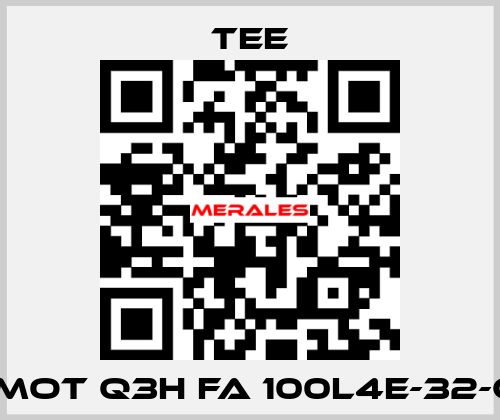 3 ~ Mot Q3H FA 100L4E-32-CUL TEE