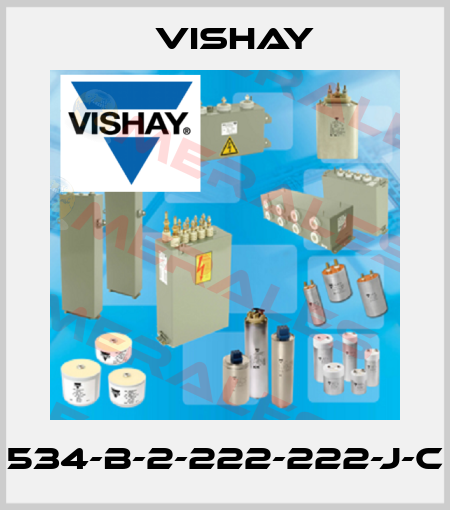 534-B-2-222-222-J-C Vishay