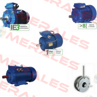 Elektrim DS Motor 3SIEL 80-2B Cantoni