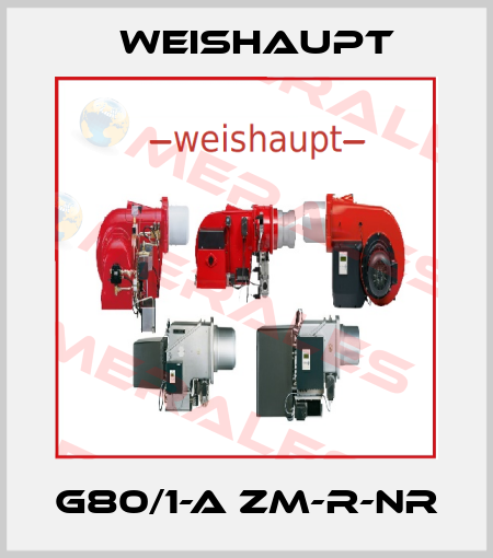G80/1-A ZM-R-NR Weishaupt