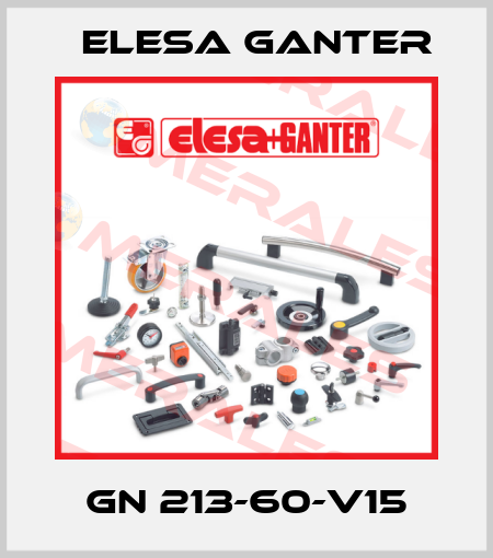 GN 213-60-V15 Elesa Ganter