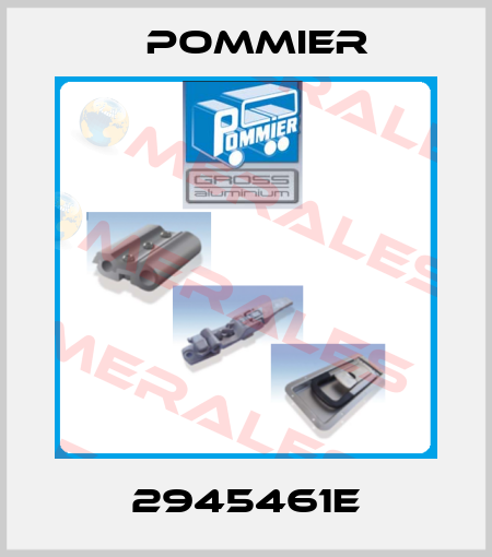 2945461E Pommier