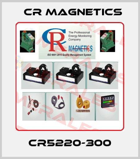 CR5220-300 Cr Magnetics