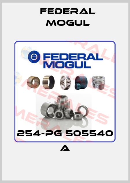 254-PG 505540 A Federal Mogul