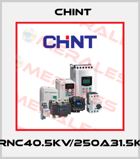 XRNC40.5KV/250A31.5KA Chint