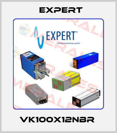 VK100X12NBR  Expert