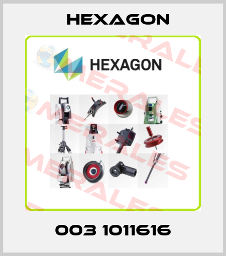 003 1011616 Hexagon