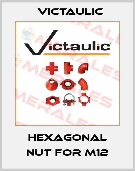 hexagonal nut for M12 Victaulic