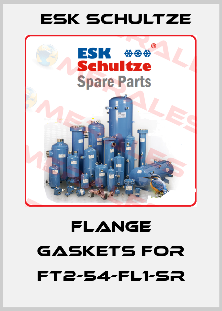 flange gaskets for FT2-54-FL1-SR Esk Schultze