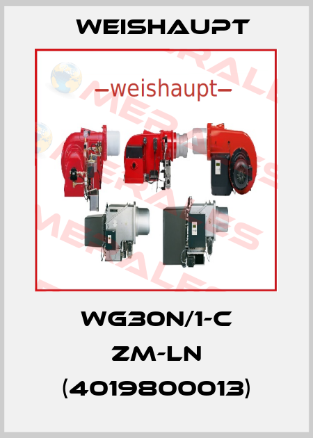 WG30N/1-C ZM-LN (4019800013) Weishaupt