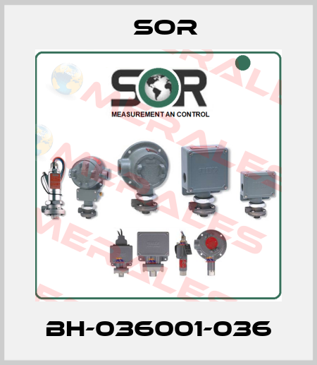 BH-036001-036 Sor