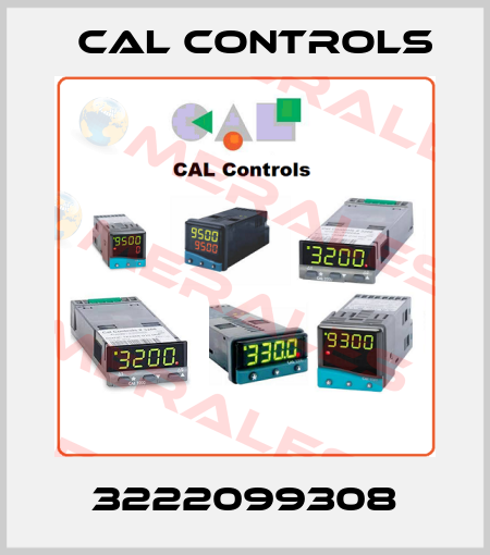 3222099308 Cal Controls