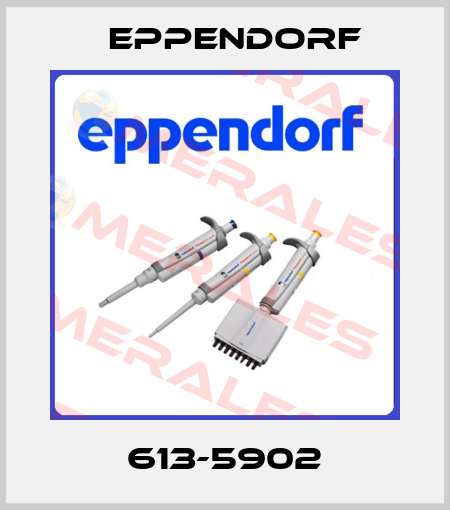 613-5902 Eppendorf