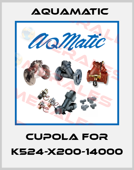 cupola for K524-X200-14000 AquaMatic