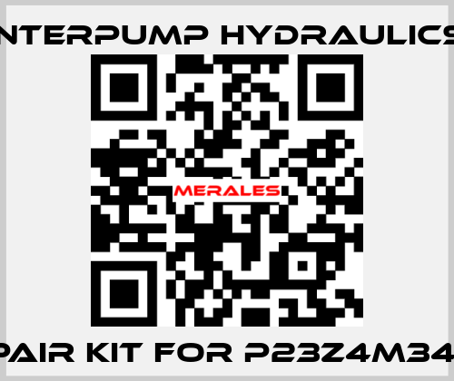 Repair kit for P23Z4M34201 Interpump hydraulics