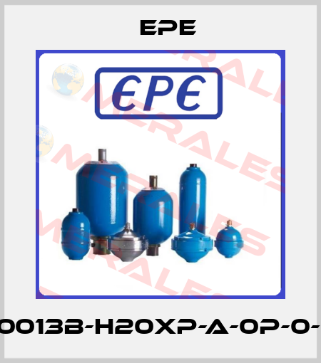 1.0013B-H20XP-A-0P-0-P Epe