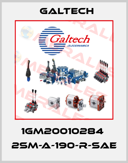1GM20010284  2SM-A-190-R-SAE Galtech