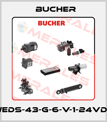 WEDS-43-G-6-V-1-24VDC old code/ WEDO-43-G-6V-1 24D new code Bucher