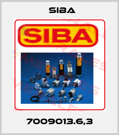 7009013.6,3 Siba