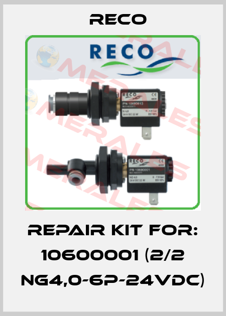 Repair kit for: 10600001 (2/2 NG4,0-6P-24VDC) Reco