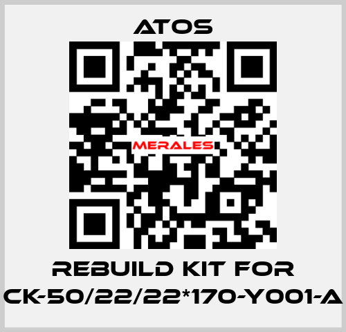 rebuild kit for CK-50/22/22*170-Y001-A Atos