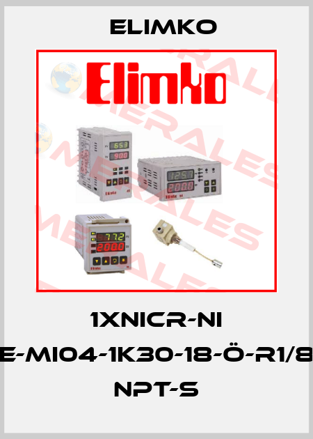 1XNICR-NI E-MI04-1K30-18-Ö-R1/8 NPT-S Elimko