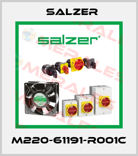 M220-61191-R001C Salzer
