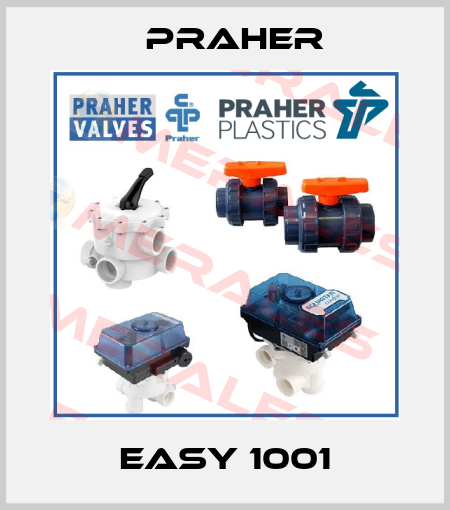 Easy 1001 Praher