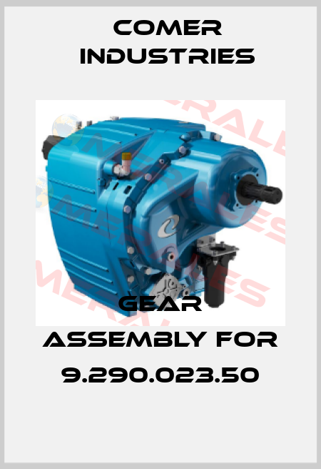 gear assembly for 9.290.023.50 Comer Industries