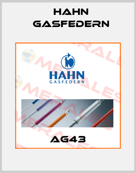 AG43 Hahn Gasfedern