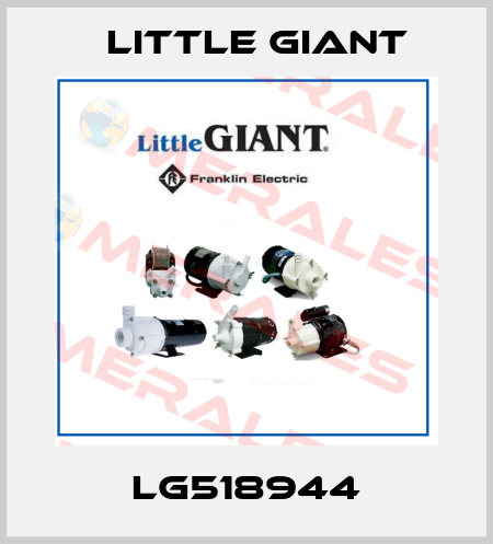 LG518944 Little Giant