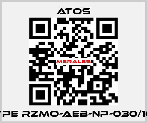 Type RZMO-AEB-NP-030/100 Atos