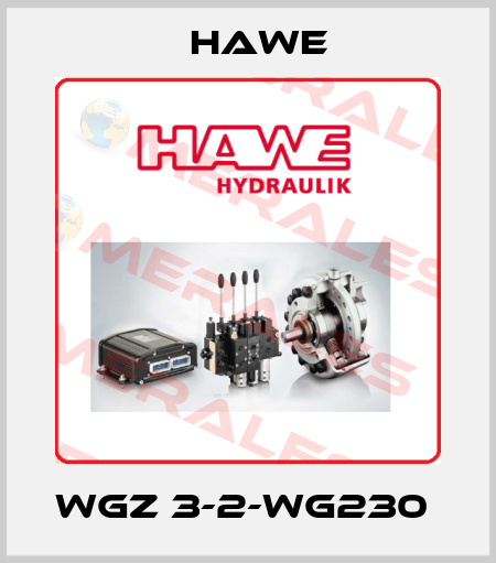 WGZ 3-2-WG230  Hawe