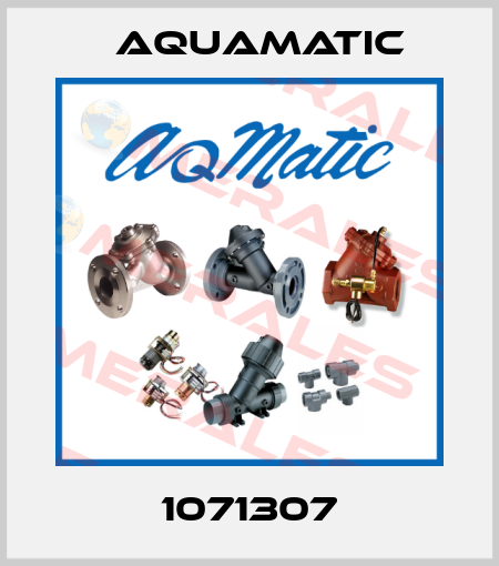 1071307 AquaMatic