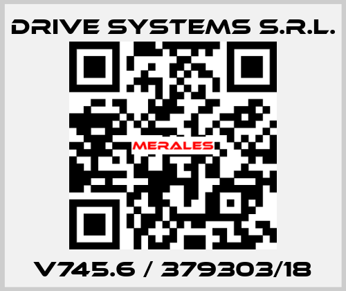 V745.6 / 379303/18 DRIVE SYSTEMS s.r.l.