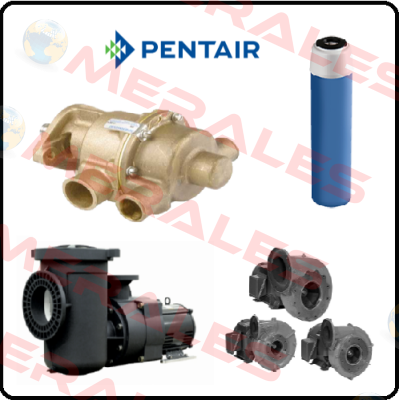 194456 Pentek (Pentair)