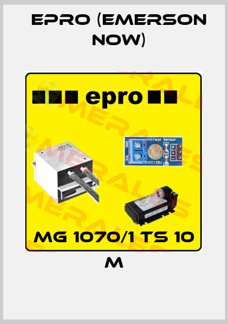 MG 1070/1 TS 10 m Epro (Emerson now)