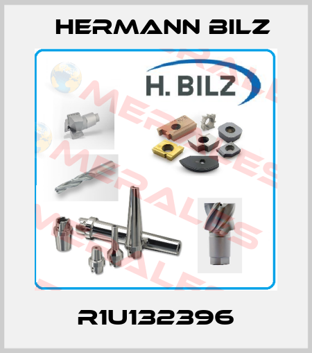 R1U132396 Hermann Bilz