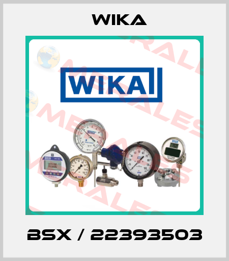BSX / 22393503 Wika