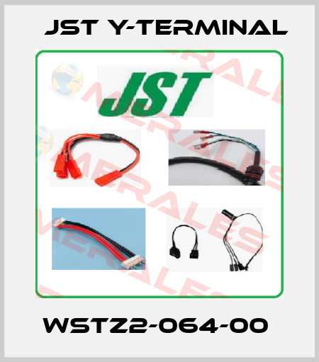 WSTZ2-064-00  Jst Y-Terminal