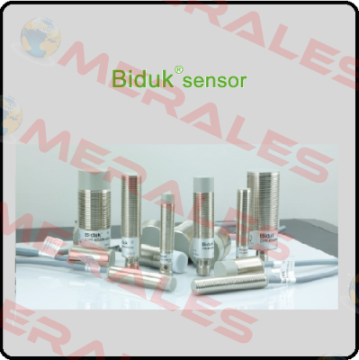 I1PN-Q4040P-SES4-G Biduk