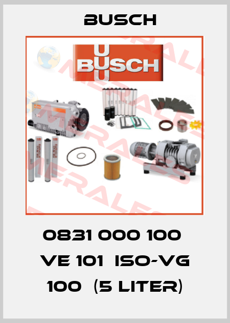 0831 000 100  VE 101  ISO-VG 100  (5 Liter) Busch
