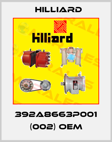 392A8663P001 (002) OEM Hilliard