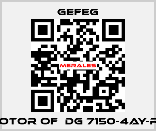 rotor of  Dg 7150-4AY-RL Gefeg
