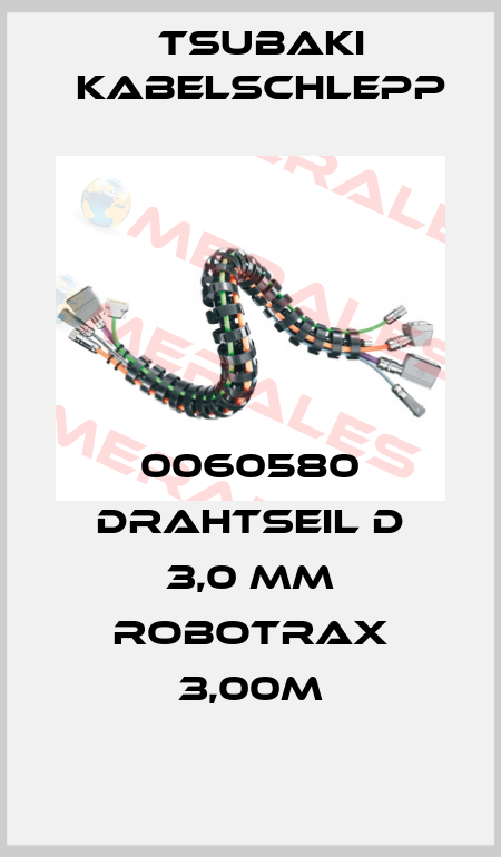 0060580 Drahtseil D 3,0 mm Robotrax 3,00M Tsubaki Kabelschlepp