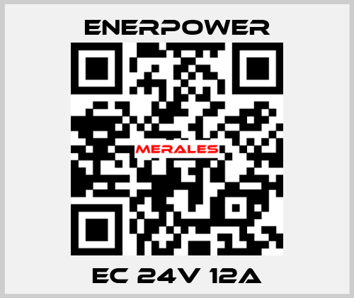 EC 24v 12A Enerpower