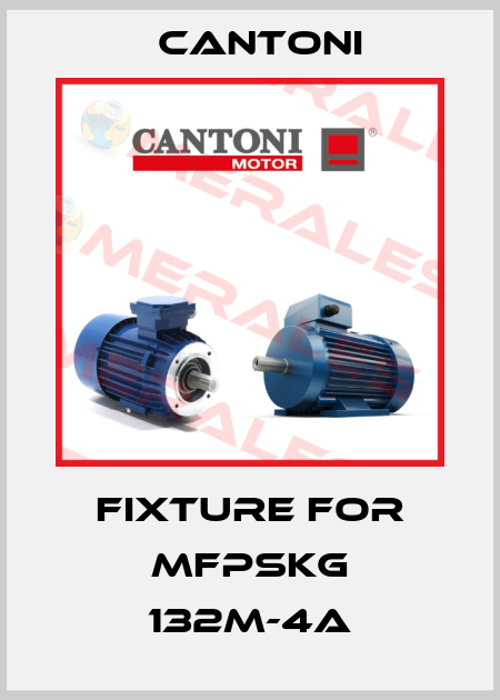 fixture for mFPSKg 132M-4A Cantoni